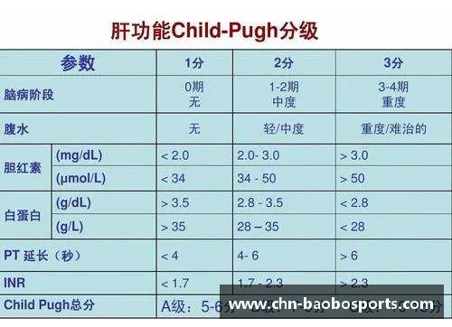宝博体育球员排名的细节解析：背后的评分系统与数据透视