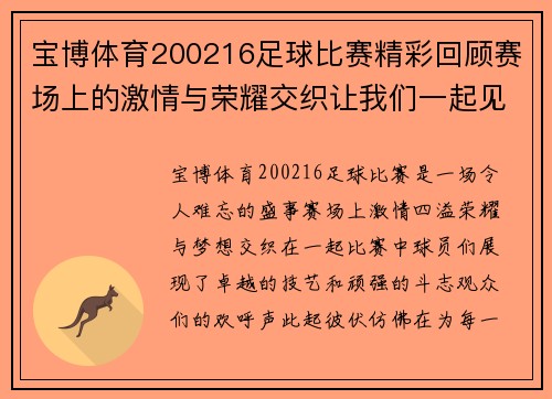 宝博体育200216足球比赛精彩回顾赛场上的激情与荣耀交织让我们一起见证历史时刻